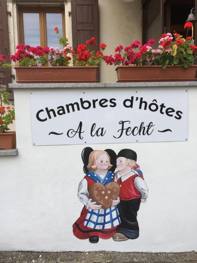 Chambres D'Hotes A La Fecht Nature Et Bien-Etre Sondernach Exterior foto
